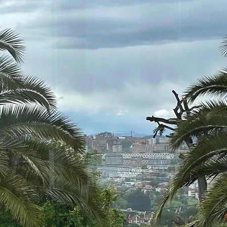 Corzos * 오비에도